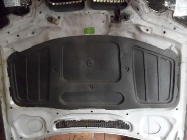 BMW 3er E46 Compact Motorhaube Titansilber 354/7