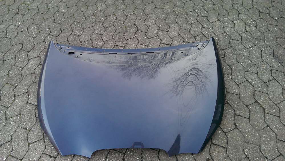 Motorhaube Seat Leon P1 2009