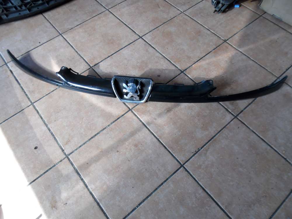 Peugeot 206 Cabrio K?hlergrill 96286912 Schwarz