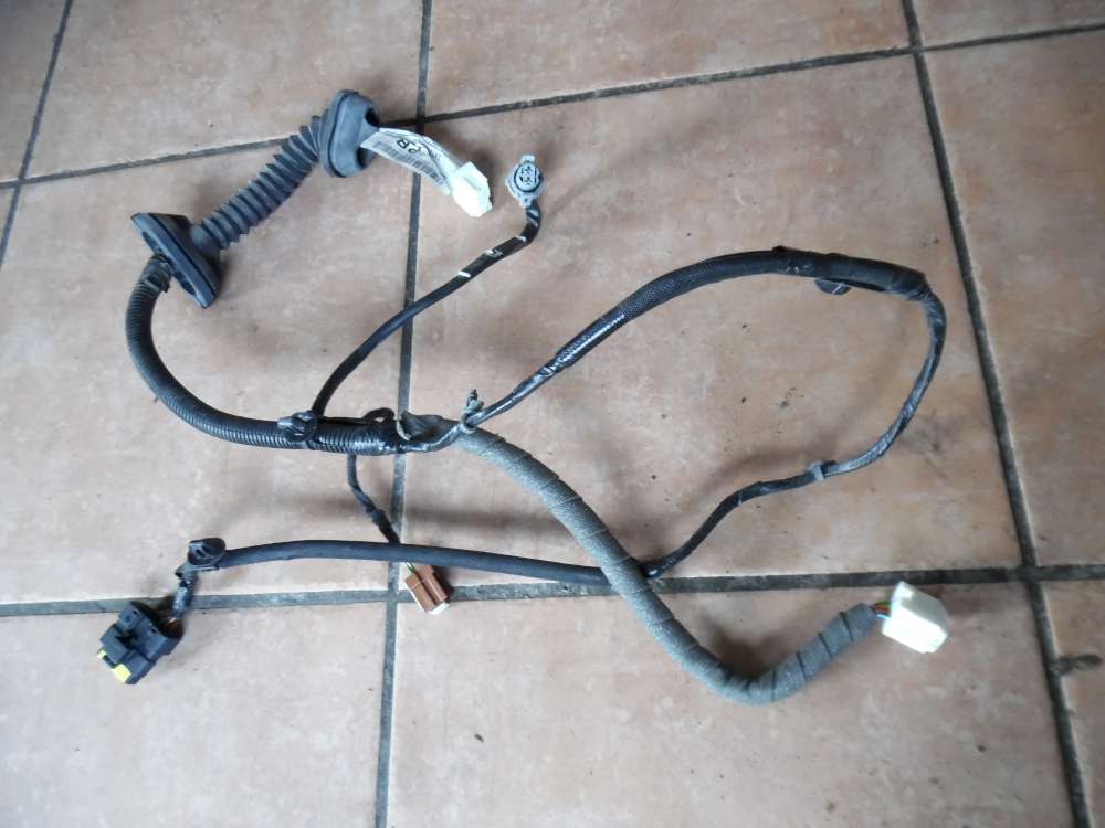 Nissan Qashqai J10 T?rkabelbaum Hinten Links 24126EY10C